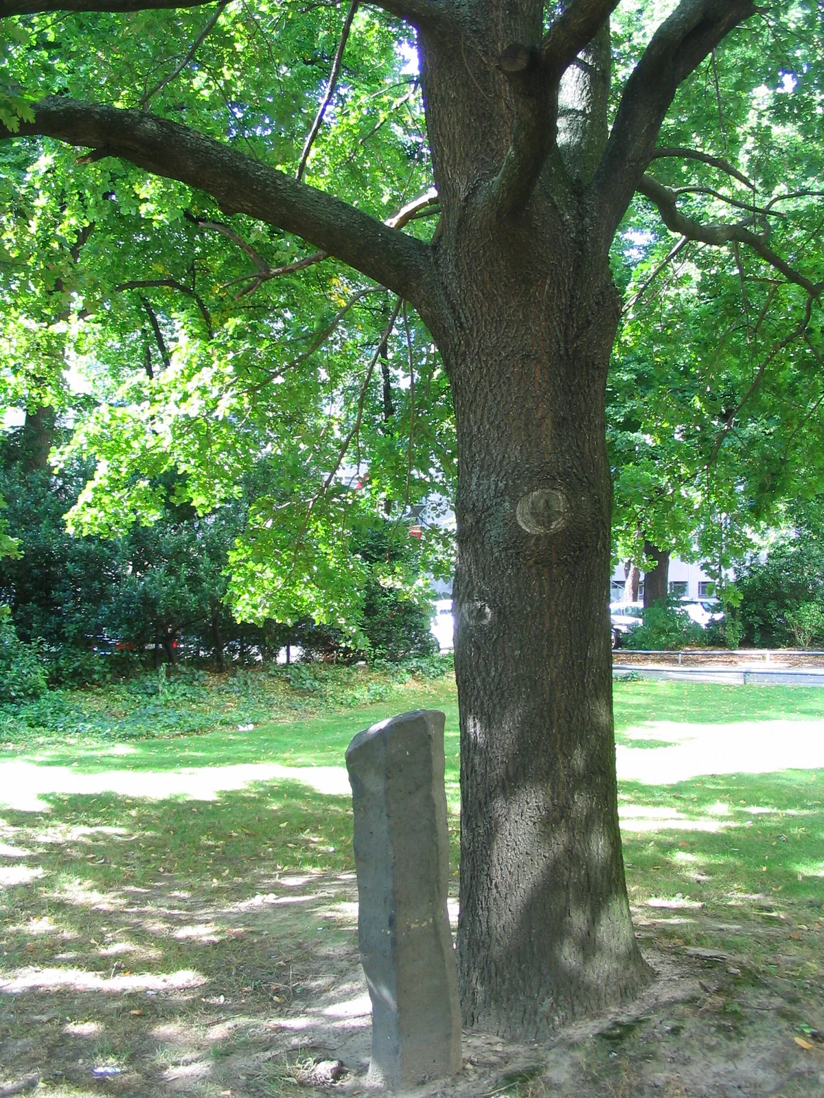 Joseph Beuys’ Installation Eiche und Basaltsäule von 1986 in Düsseldorf